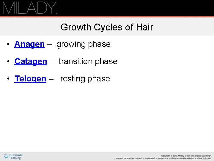 Growth Cycles of Hair • Anagen – growing phase • Catagen – transition phase