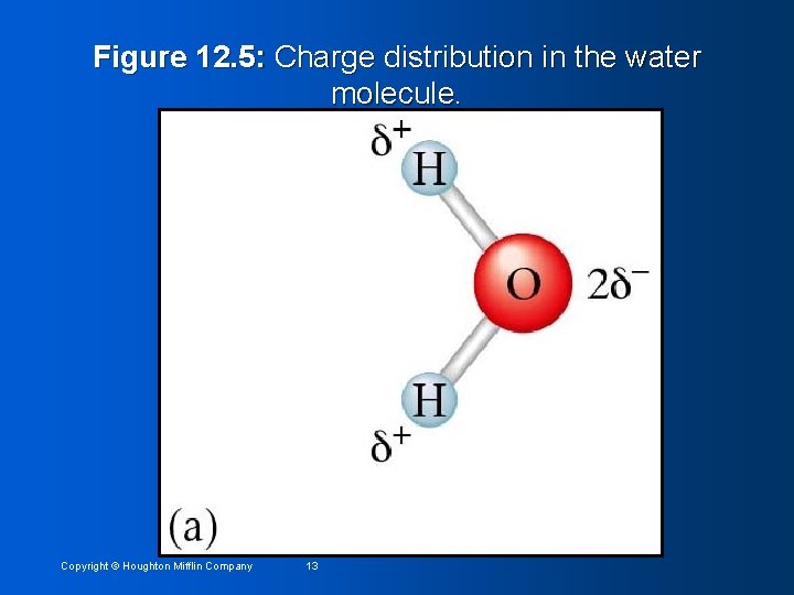 Figure 12. 5: Charge distribution in the water molecule. Copyright © Houghton Mifflin Company