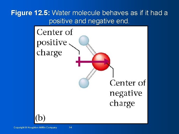 Figure 12. 5: Water molecule behaves as if it had a positive and negative