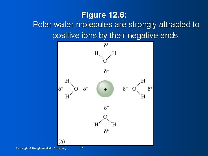 Figure 12. 6: Polar water molecules are strongly attracted to positive ions by their
