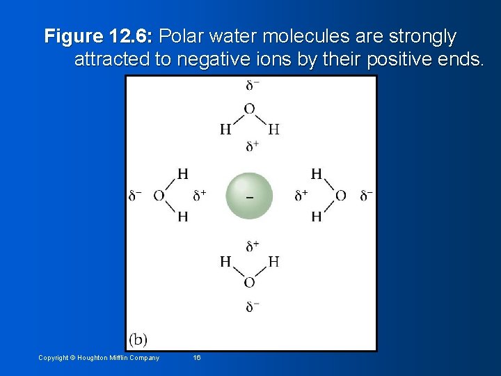 Figure 12. 6: Polar water molecules are strongly attracted to negative ions by their