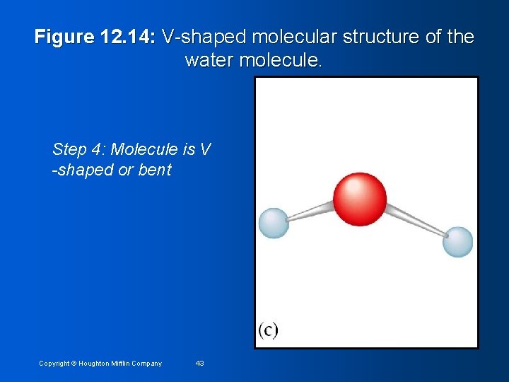 Figure 12. 14: V-shaped molecular structure of the water molecule. Step 4: Molecule is