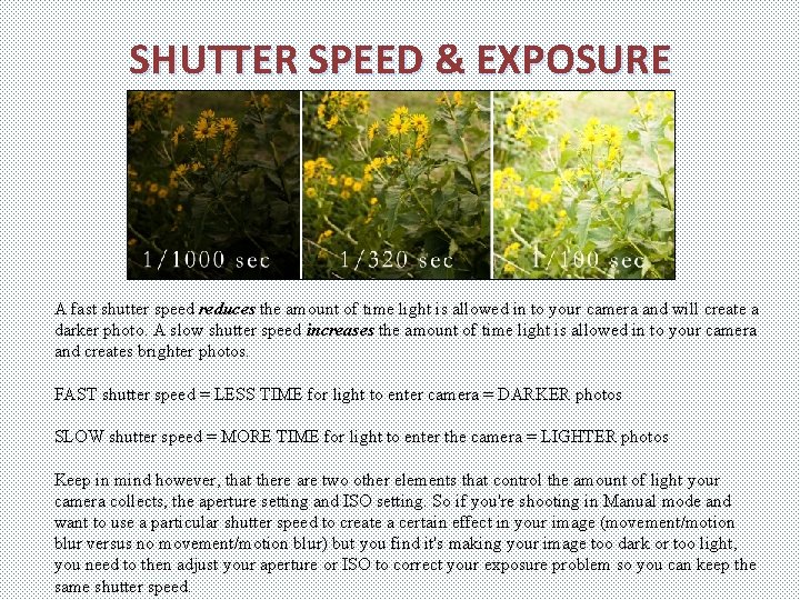 SHUTTER SPEED & EXPOSURE A fast shutter speed reduces the amount of time light