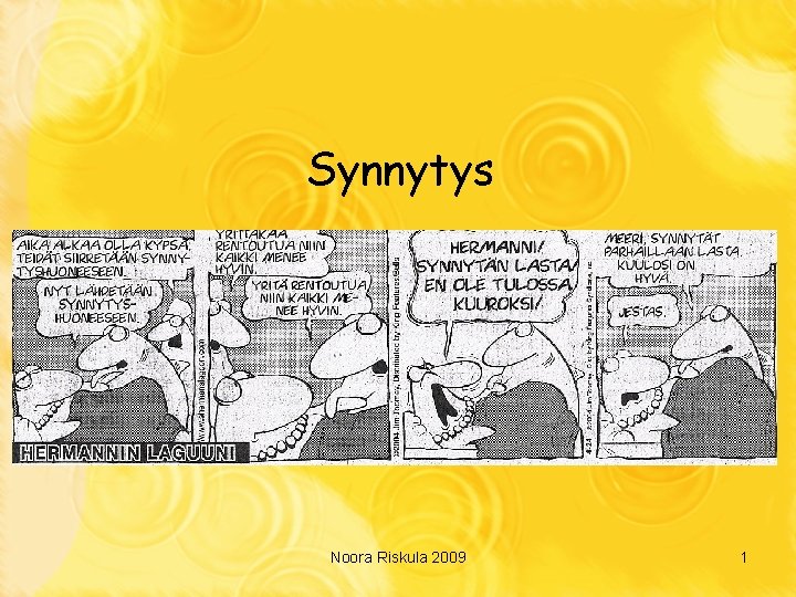 Synnytys Noora Riskula 2009 1 