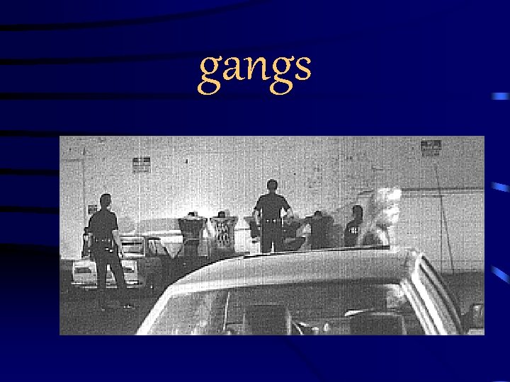 gangs 