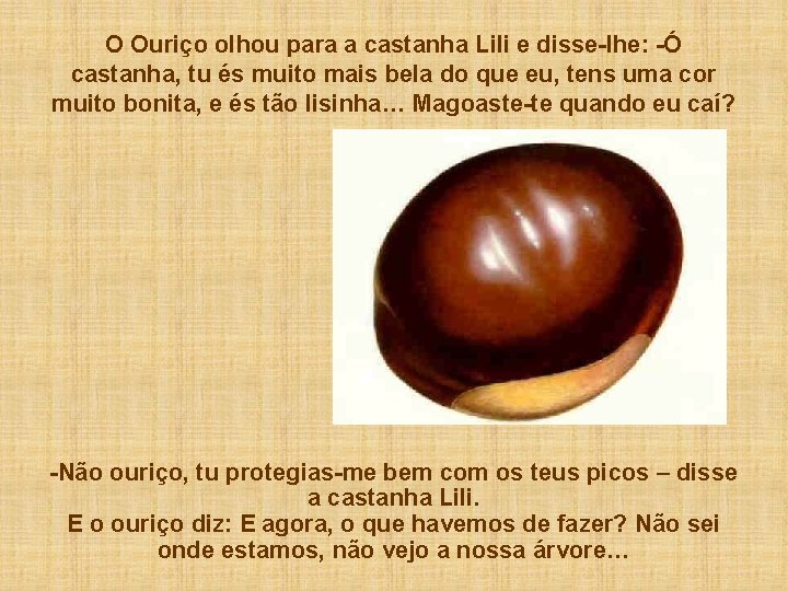 O Ouriço olhou para a castanha Lili e disse-lhe: -Ó castanha, tu és muito
