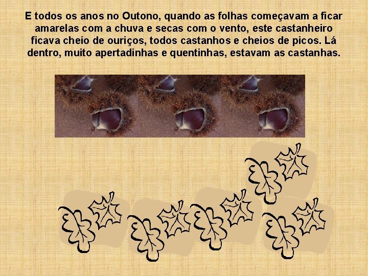 E todos os anos no Outono, quando as folhas começavam a ficar amarelas com