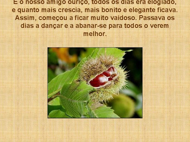 E o nosso amigo ouriço, todos os dias era elogiado, e quanto mais crescia,