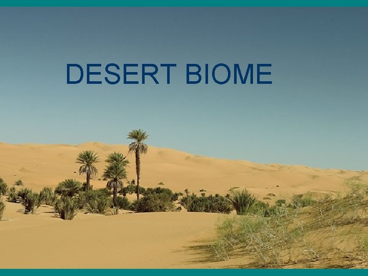 DESERT BIOME Desert Biome 