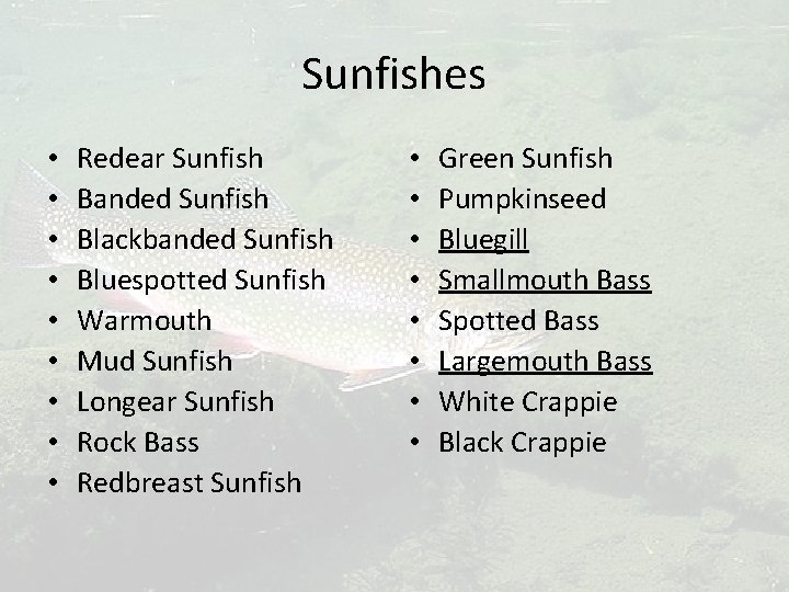 Sunfishes • • • Redear Sunfish Banded Sunfish Blackbanded Sunfish Bluespotted Sunfish Warmouth Mud