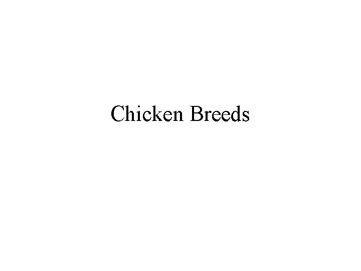 Chicken Breeds 