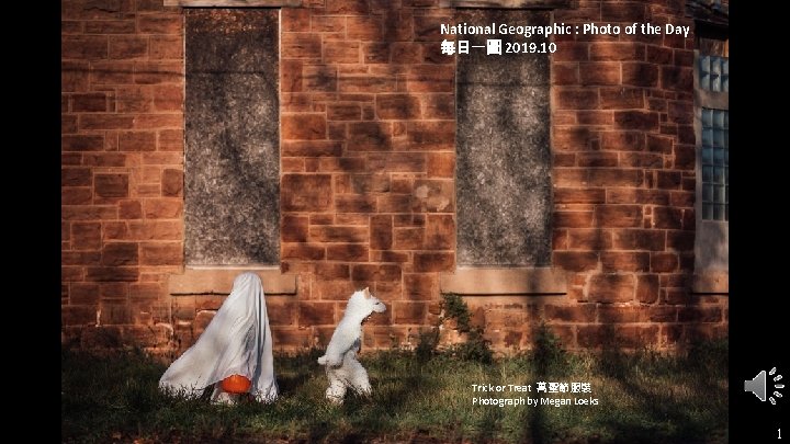 National Geographic : Photo of the Day 每日一圖 2019. 10 Trick or Treat 萬聖節服裝