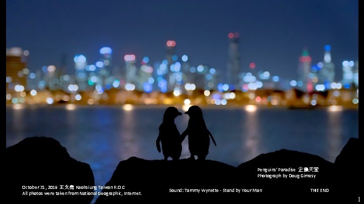 Penguins‘ Paradise 企鵝天堂 Photograph by Doug Gimesy October 31, 2019 王文堯 Kaohsiung Taiwan R.
