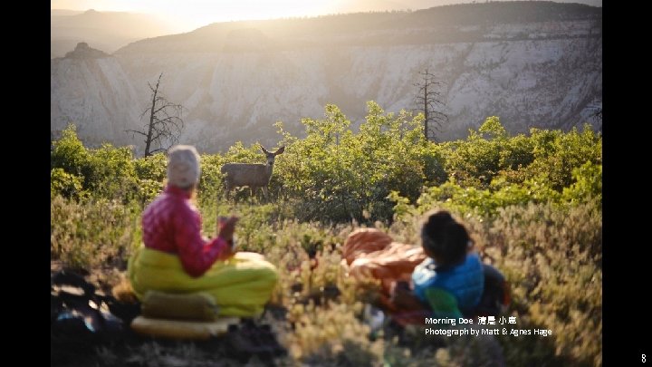Morning Doe 清晨 小鹿 Photograph by Matt & Agnes Hage 8 