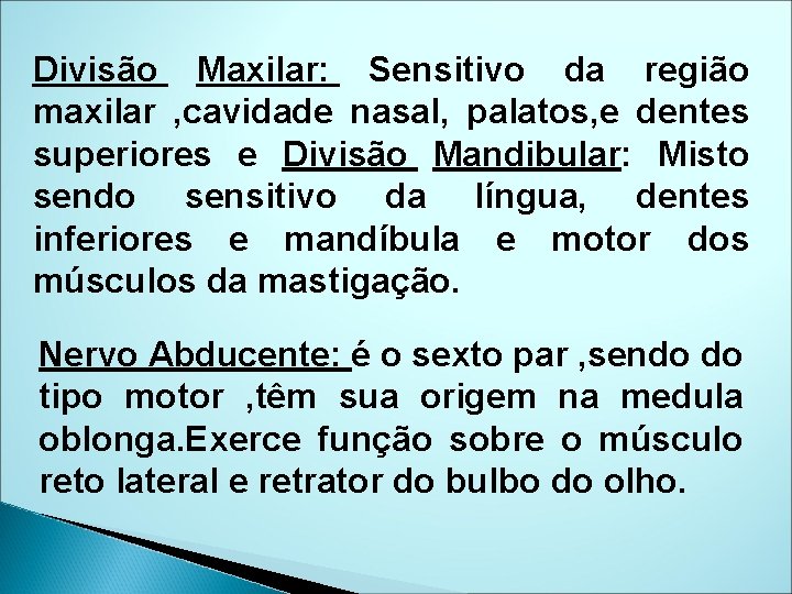 Divisão Maxilar: Sensitivo da região maxilar , cavidade nasal, palatos, e dentes superiores e