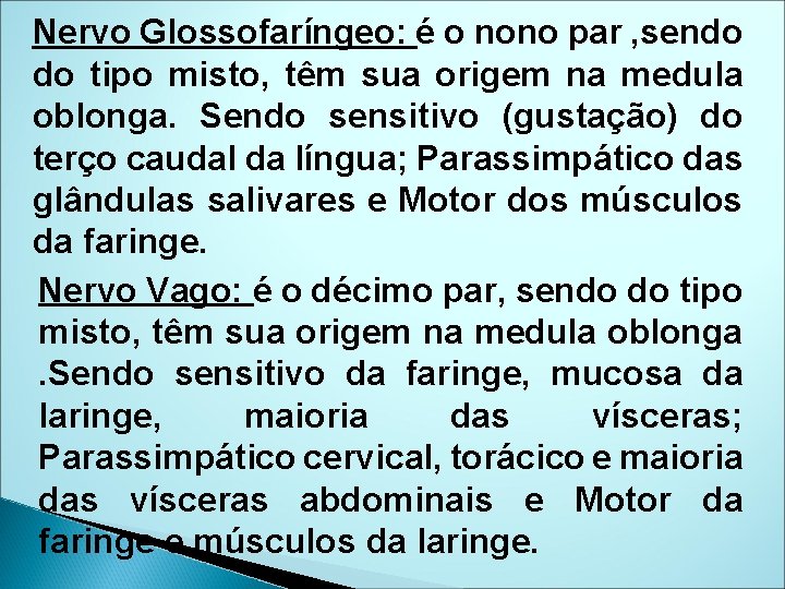 Nervo Glossofaríngeo: é o nono par , sendo do tipo misto, têm sua origem