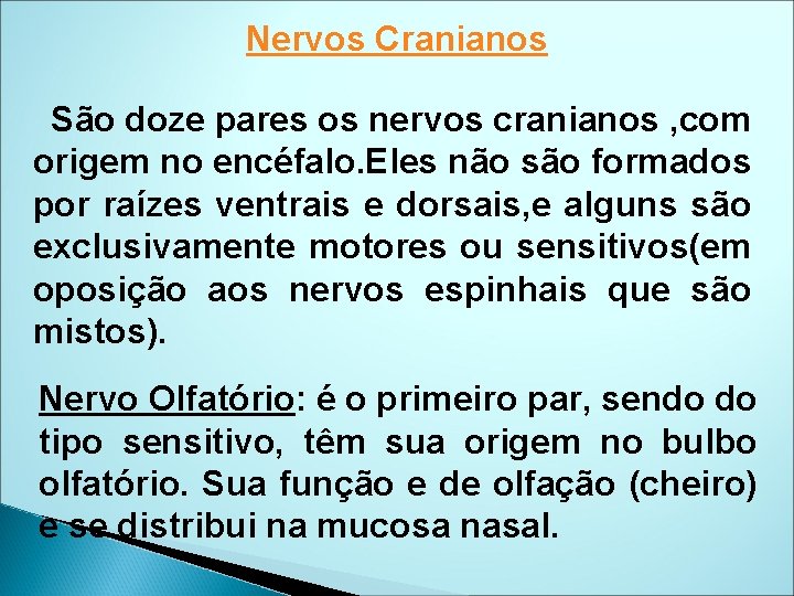 Nervos Cranianos São doze pares os nervos cranianos , com origem no encéfalo. Eles