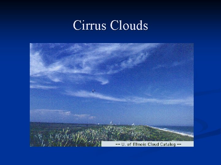 Cirrus Clouds 