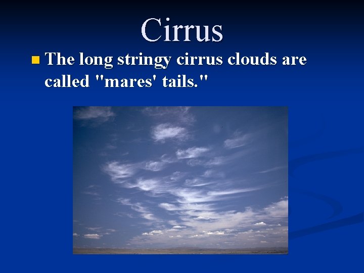 Cirrus n The long stringy cirrus clouds are called "mares' tails. " 