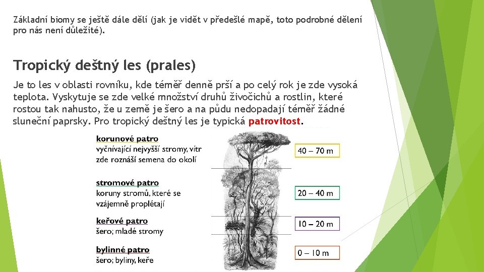 Základní biomy se ještě dále dělí (jak je vidět v předešlé mapě, toto podrobné