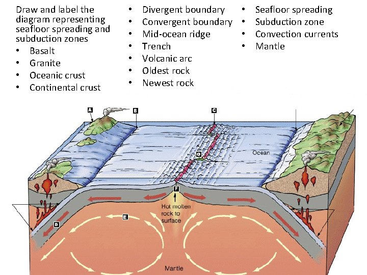 Draw and label the diagram representing seafloor spreading and subduction zones • Basalt •