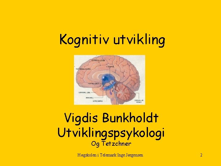 Kognitiv utvikling Vigdis Bunkholdt Utviklingspsykologi Og Tetzchner Høgskolen i Telemark Inge Jørgensen 2 