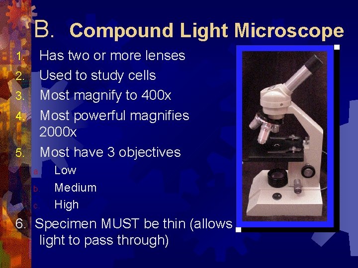 B. Compound Light Microscope 1. 2. 3. 4. 5. Has two or more lenses
