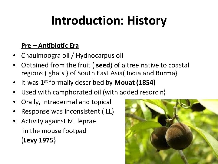 Introduction: History • • Pre – Antibiotic Era Chaulmoogra oil / Hydnocarpus oil Obtained Introduction: History • • Pre – Antibiotic Era Chaulmoogra oil / Hydnocarpus oil Obtained