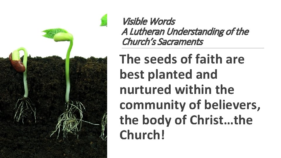 Visible Words A Lutheran Understanding of the Church’s Sacraments The seeds of faith are