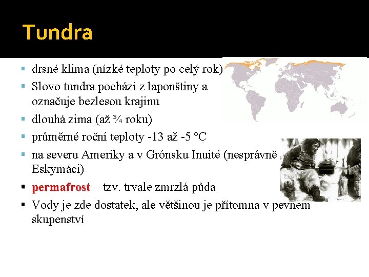 Tundra drsné klima (nízké teploty po celý rok) Slovo tundra pochází z laponštiny a