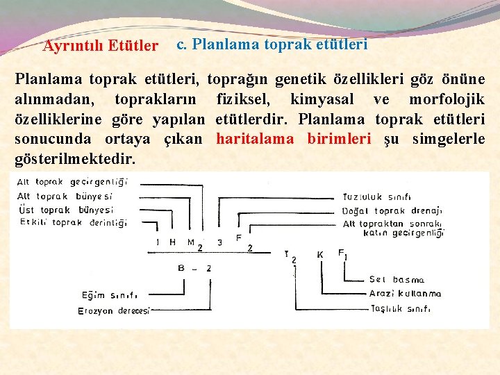 Ayrıntılı Etütler c. Planlama toprak etütleri, toprağın genetik özellikleri göz önüne alınmadan, toprakların fiziksel,