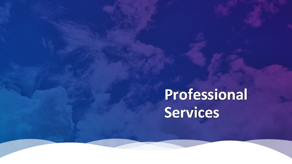 Professional Services 