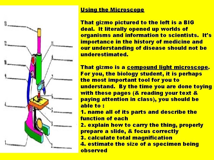 Using the Microscope That gizmo pictured to the left is a BIG deal. It