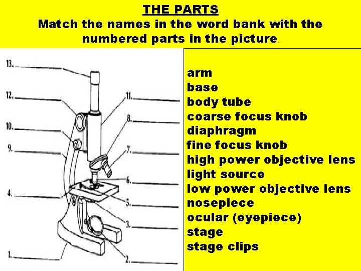 THE PARTS Match the names in the word bank with the numbered parts in