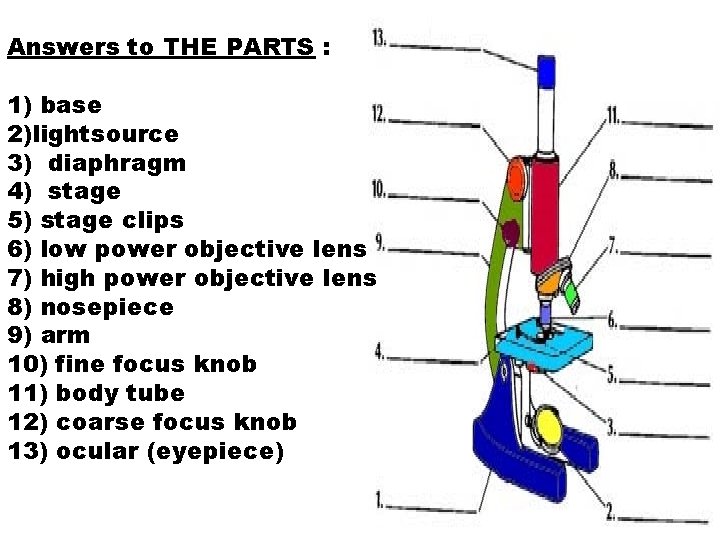 Answers to THE PARTS : 1) base 2)lightsource 3) diaphragm 4) stage 5) stage