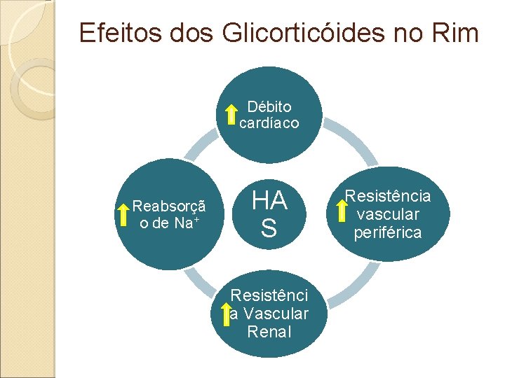 Efeitos dos Glicorticóides no Rim Débito cardíaco Reabsorçã o de Na+ HA S Resistênci