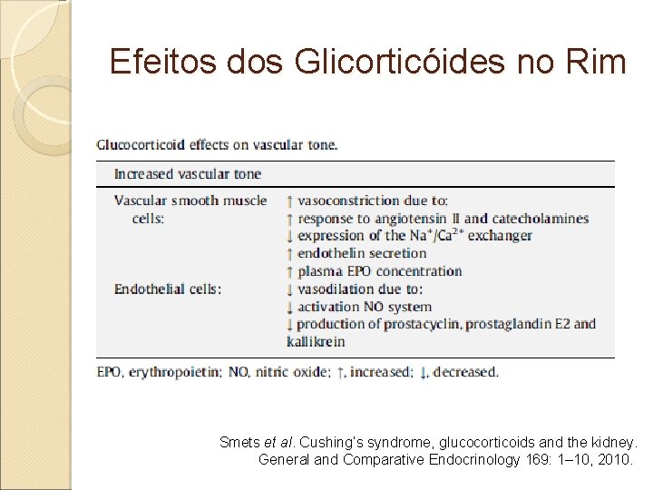 Efeitos dos Glicorticóides no Rim Smets et al. Cushing’s syndrome, glucocorticoids and the kidney.