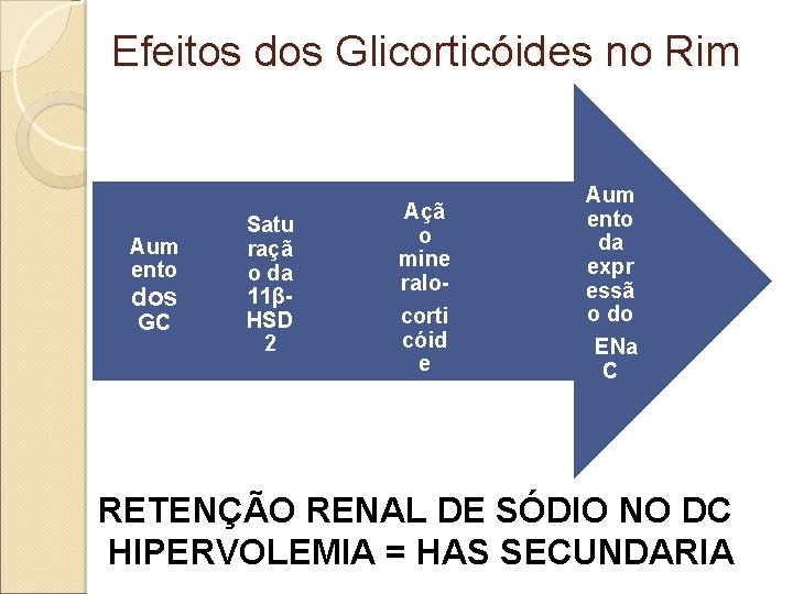 Efeitos dos Glicorticóides no Rim Aum ento dos GC Satu raçã o da 11βHSD