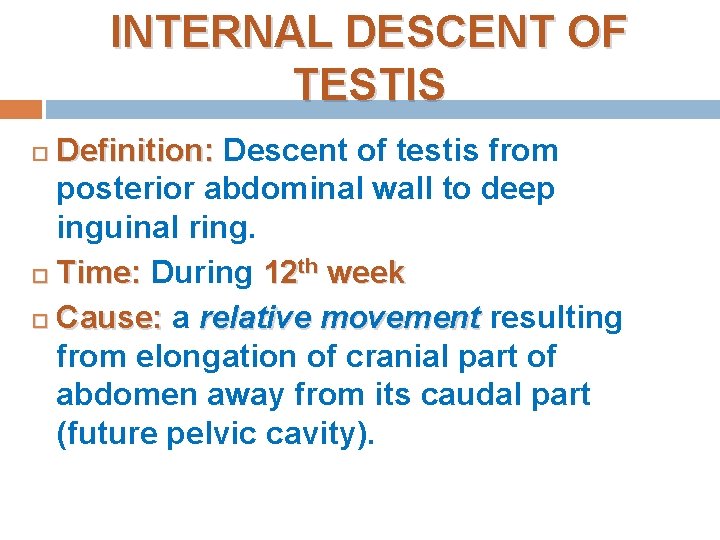 INTERNAL DESCENT OF TESTIS Definition: Descent of testis from posterior abdominal wall to deep