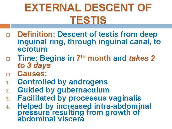 EXTERNAL DESCENT OF TESTIS 1. 2. 3. 4. Definition: Descent of testis from deep