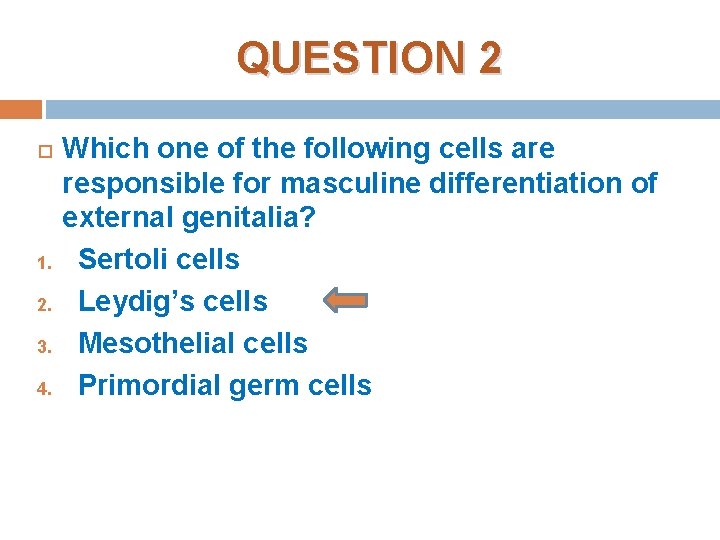 QUESTION 2 1. 2. 3. 4. Which one of the following cells are responsible