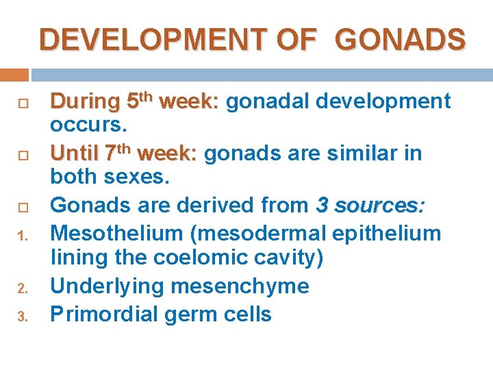 DEVELOPMENT OF GONADS 1. 2. 3. During 5 th week: gonadal development occurs. Until