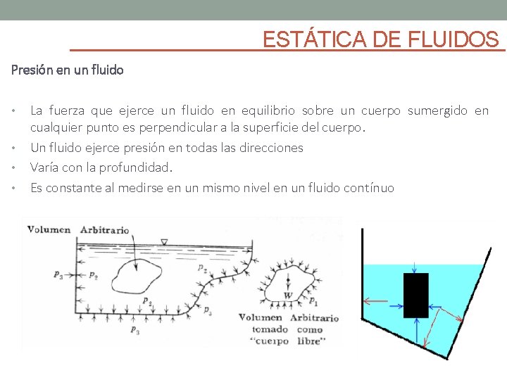 ESTÁTICA DE FLUIDOS Presión en un fluido • • La fuerza que ejerce un