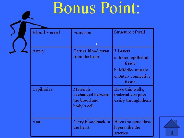 Bonus Point: Blood Vessel Structure of wall Function . Artery Carries blood away from