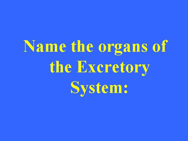 Name the organs of the Excretory System: 