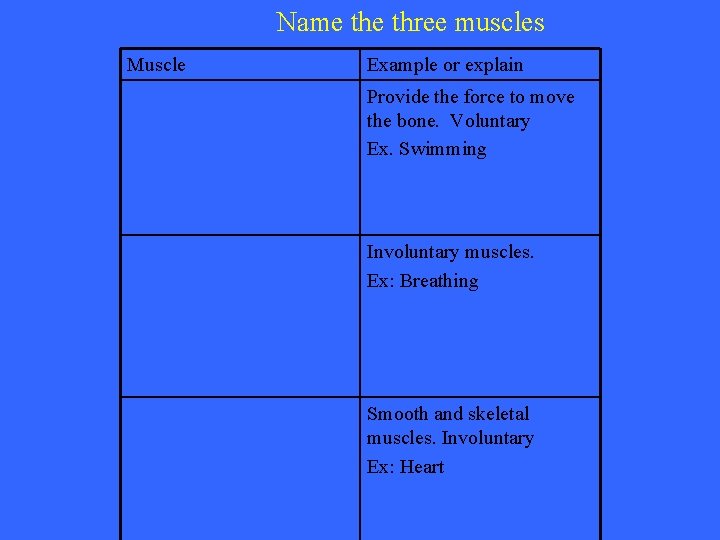 Name three muscles Muscle Example or explain Provide the force to move the bone.