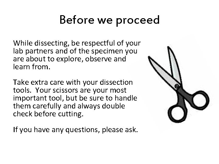 Before we proceed While dissecting, be respectful of your lab partners and of the