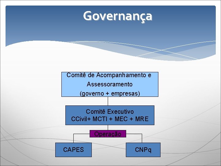 Governança Comitê de Acompanhamento e Assessoramento (governo + empresas) Comitê Executivo CCivil+ MCTI +