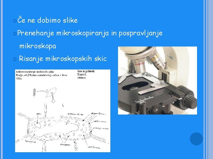  Če ne dobimo slike Prenehanje mikroskopiranja in pospravljanje mikroskopa Risanje mikroskopskih skic 