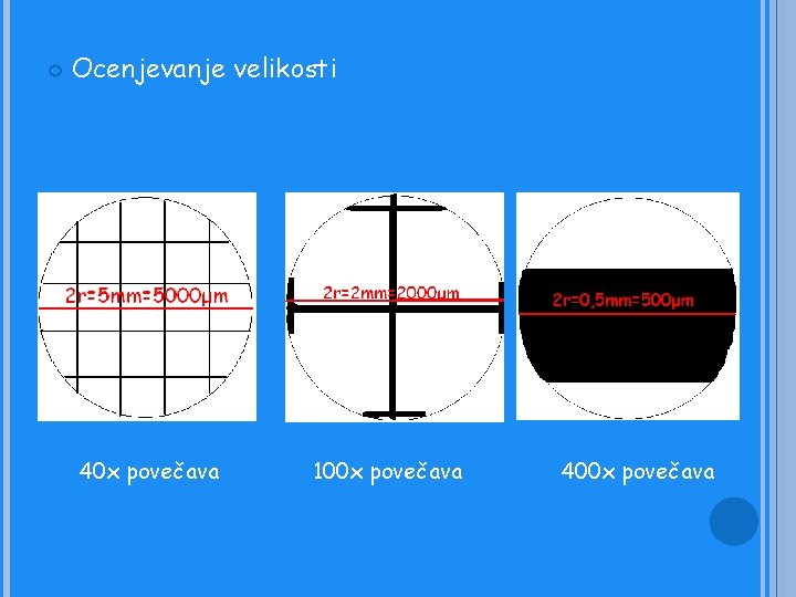  Ocenjevanje velikosti 40 x povečava 100 x povečava 400 x povečava 